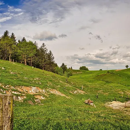 Cowboy's Land