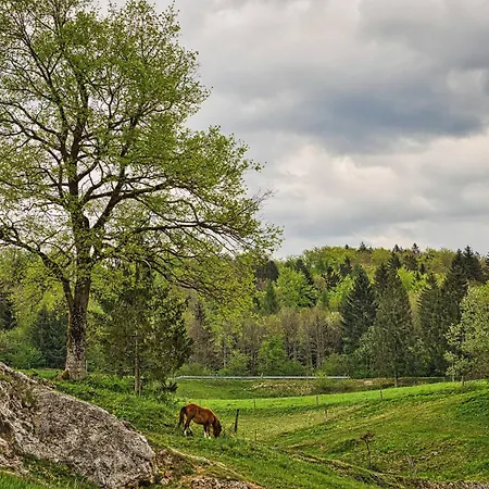 Campeggio Cowboy's Land Visnja Gora