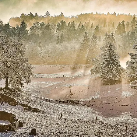 Cowboy's Land Visnja Gora
