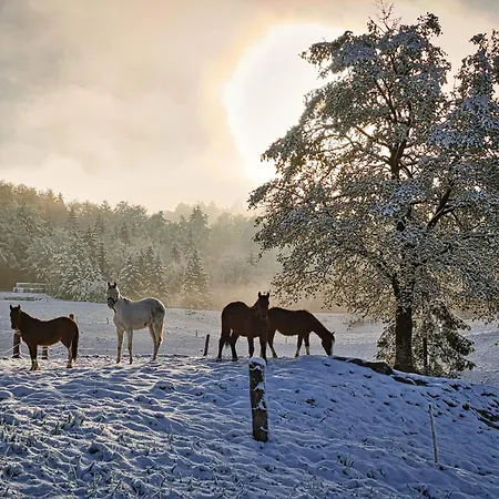 Cowboy's Land * Visnja Gora