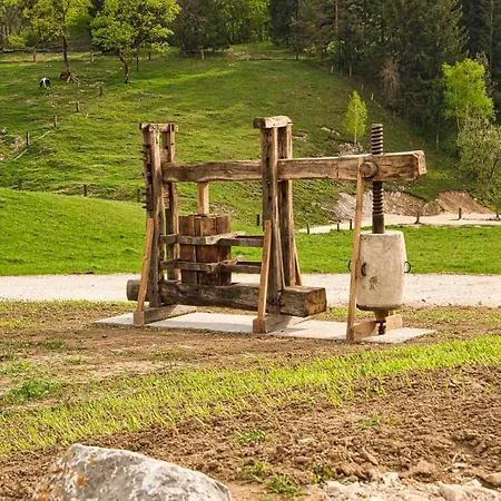Cowboy's Land