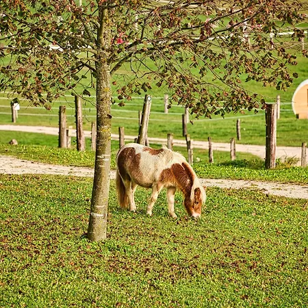 Campeggio Cowboy's Land Visnja Gora
