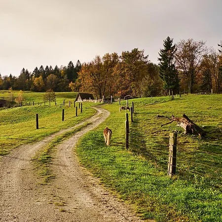 Cowboy's Land *