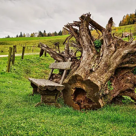 Cowboy's Land * Visnja Gora